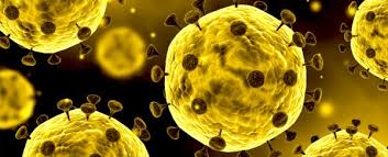 Coronavirus Outbreak to Effect Sailings and Supply Chains Coronavirus Outbreak to Effect Sailings and Supply Chains