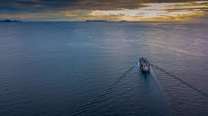 COVID-19 pandemic prompts carriers to make additional capacity cuts COVID-19 pandemic prompts carriers to make additional capacity cuts